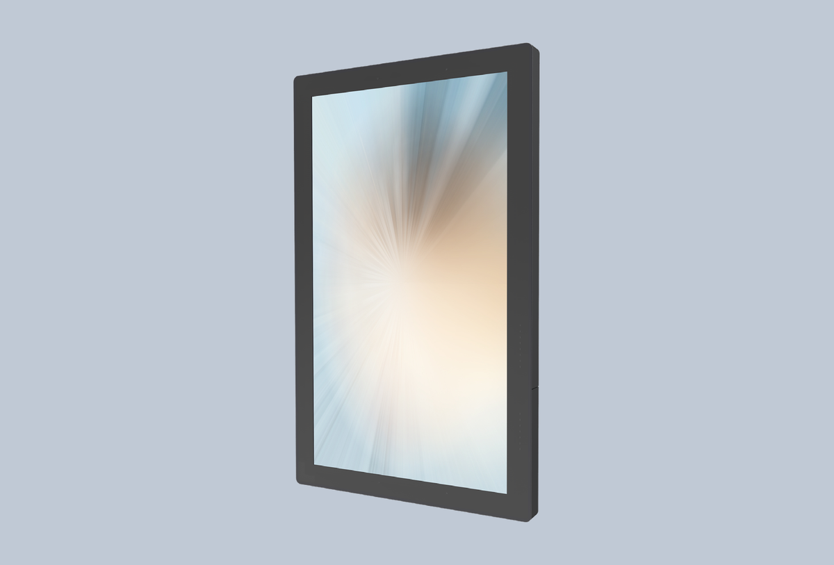 MicroTouch DS-320P-A2