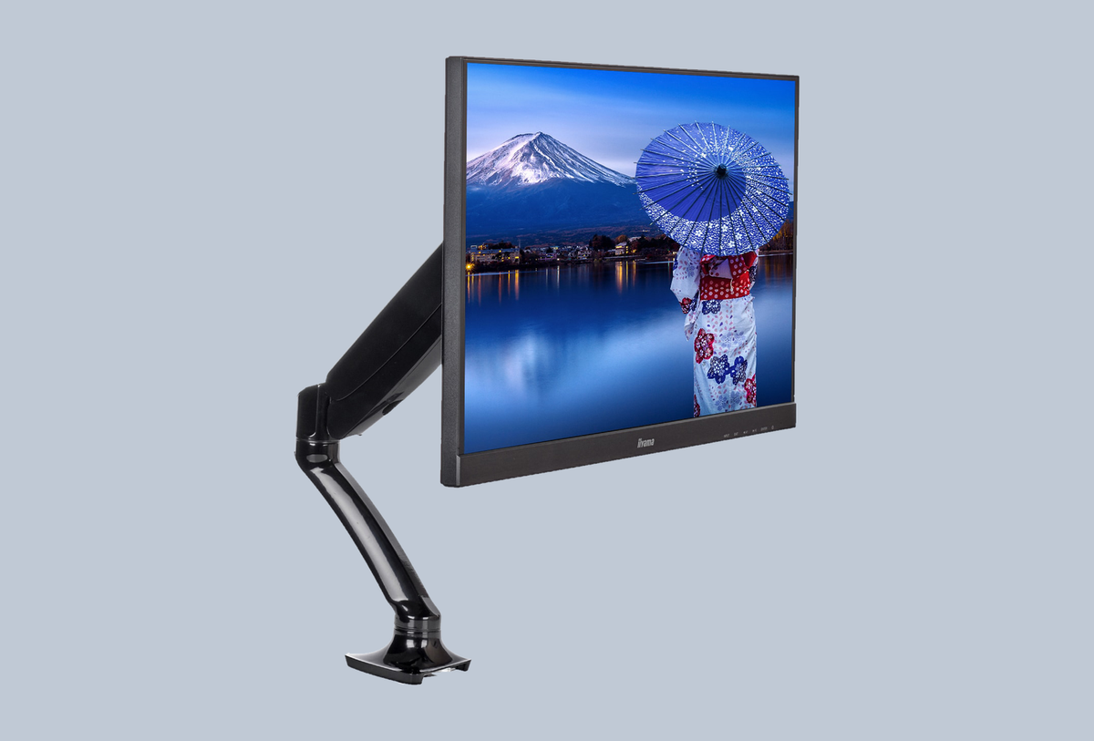 iiyama DS3001C-B1
