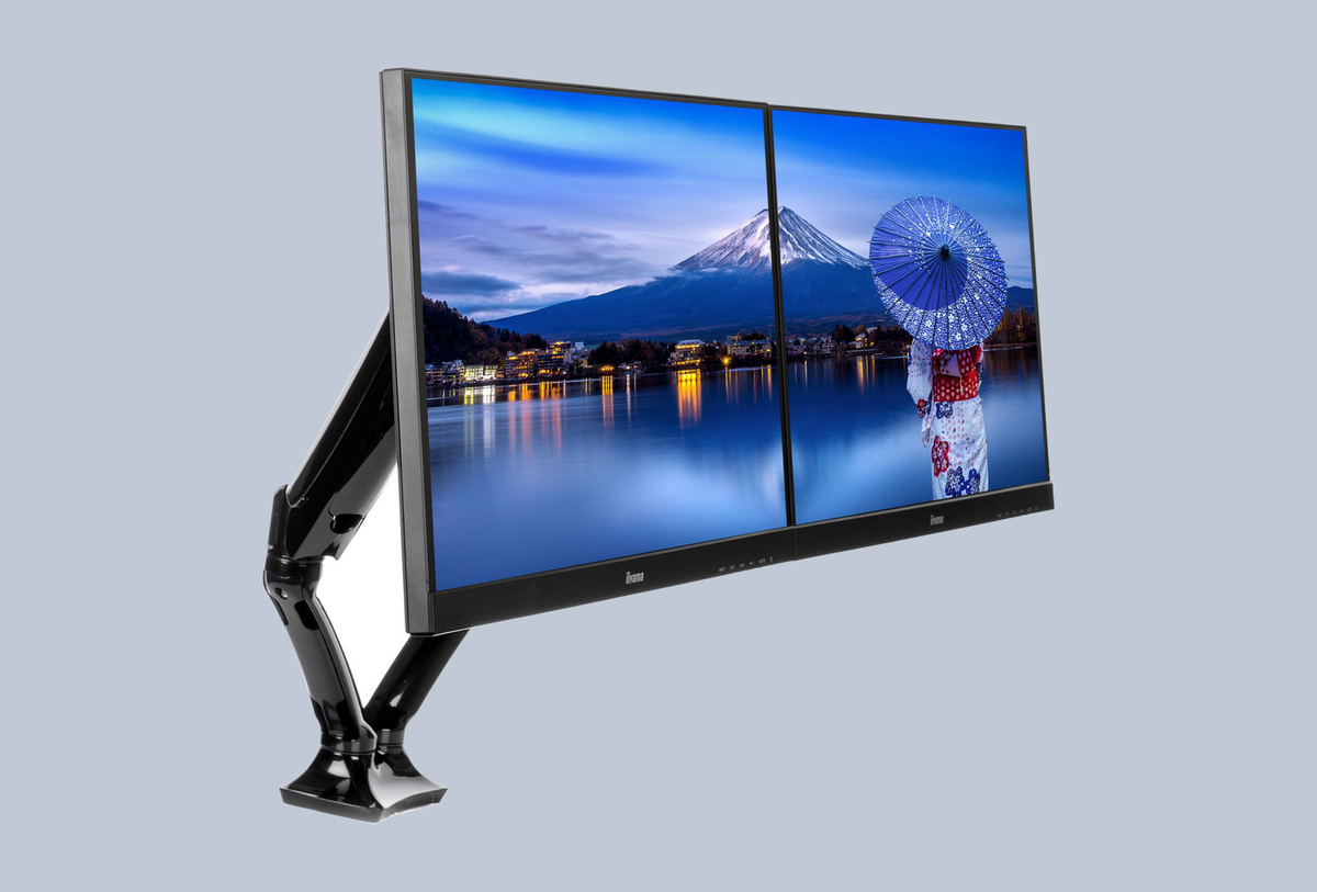 iiyama DS3002C-B1