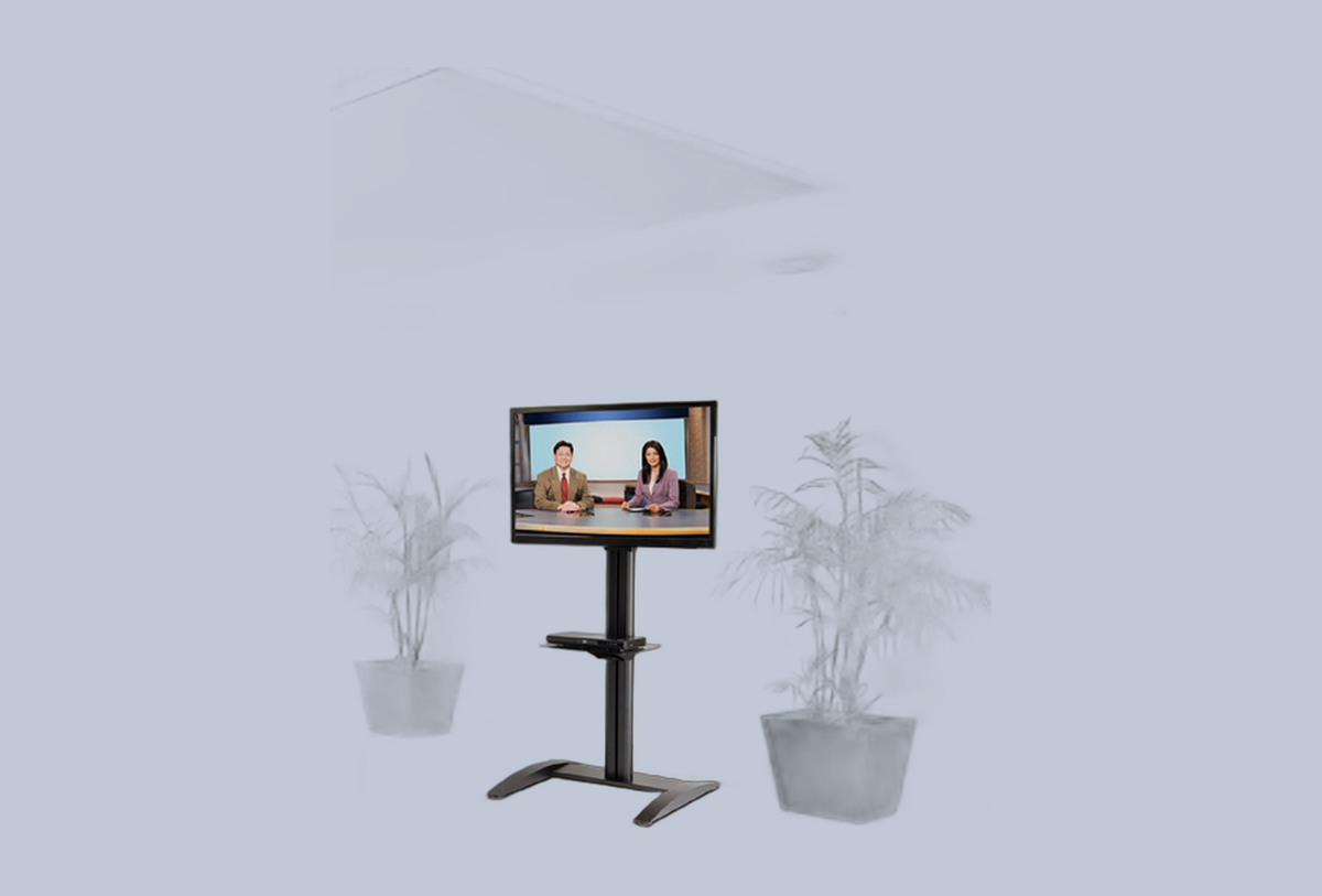 Peerless-AV SS560F – Ansicht 2