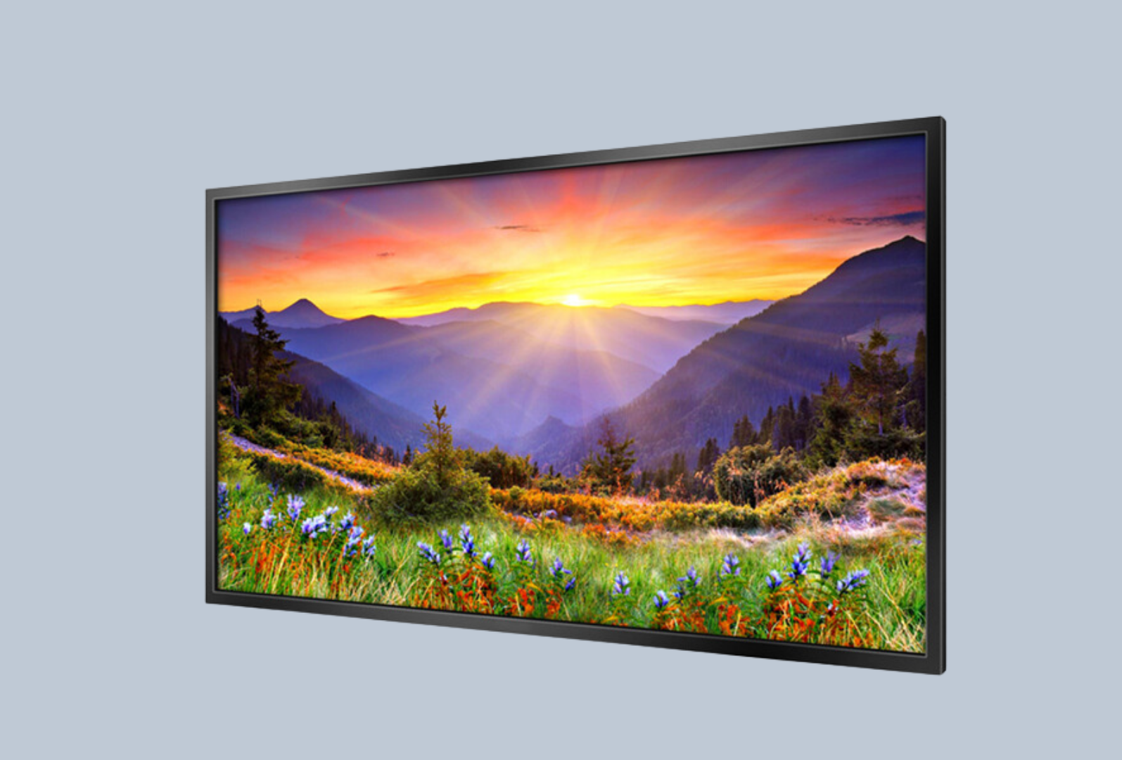 m.i.b Monitor Schaufenster