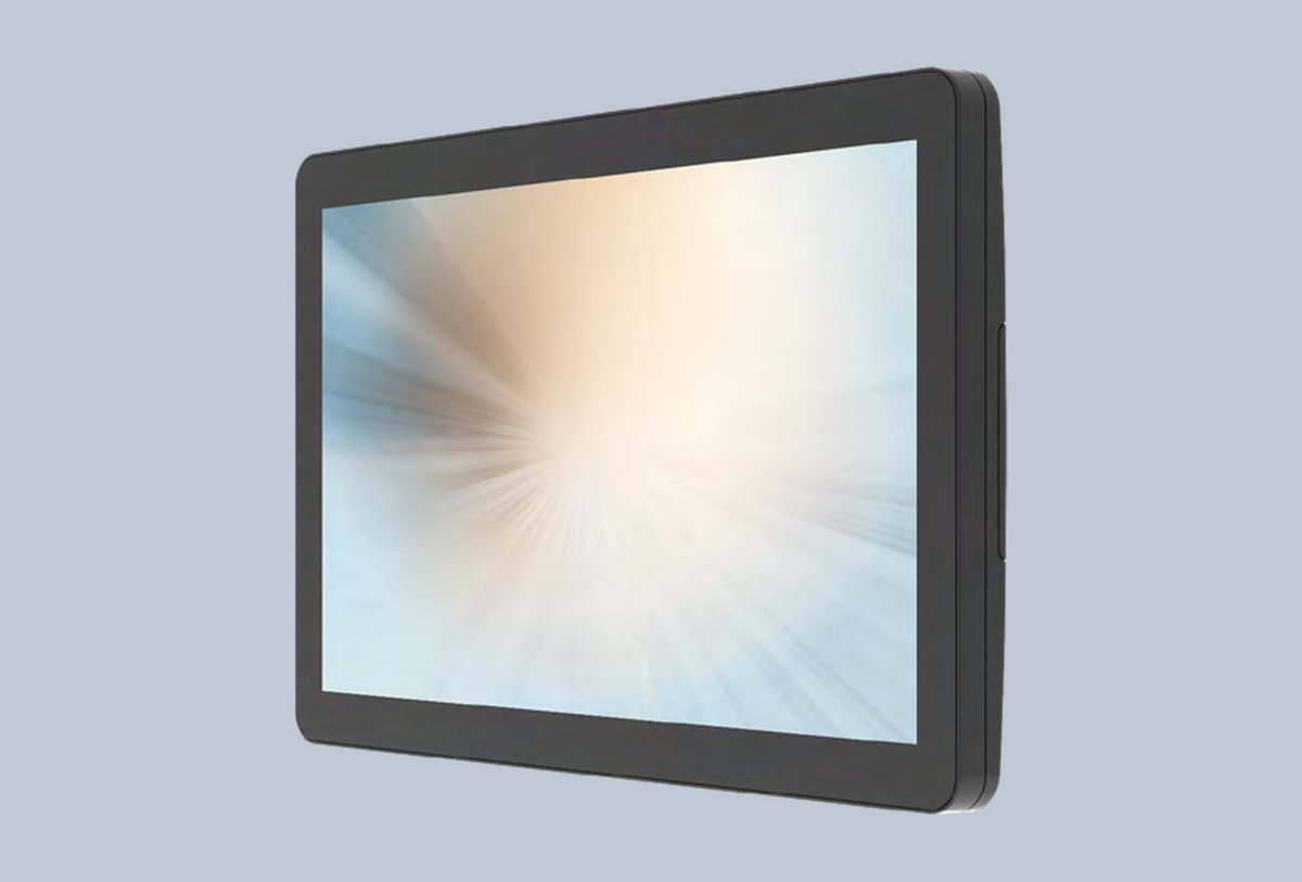 MicroTouch DT-100P-A1